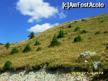 [P37]  -- <small>// FĂRĂ DESCRIERE</small> » foto by adryana
 - 
<span class="allrVoted glyphicon glyphicon-heart hidden" id="av250882"></span>
<a class="m-l-10 hidden" id="sv250882" onclick="voting_Foto_DelVot(,250882,7149)" role="button">șterge vot <span class="glyphicon glyphicon-remove"></span></a>
<a id="v9250882" class=" c-red"  onclick="voting_Foto_SetVot(250882)" role="button"><span class="glyphicon glyphicon-heart-empty"></span> <b>LIKE</b> = Votează poza</a> <img class="hidden"  id="f250882W9" src="/imagini/loader.gif" border="0" /><span class="AjErrMes hidden" id="e250882ErM"></span>