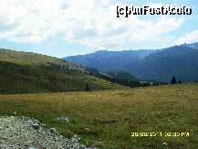 [P43]  -- <small>// FĂRĂ DESCRIERE</small> » foto by adryana
 - 
<span class="allrVoted glyphicon glyphicon-heart hidden" id="av250888"></span>
<a class="m-l-10 hidden" id="sv250888" onclick="voting_Foto_DelVot(,250888,7149)" role="button">șterge vot <span class="glyphicon glyphicon-remove"></span></a>
<a id="v9250888" class=" c-red"  onclick="voting_Foto_SetVot(250888)" role="button"><span class="glyphicon glyphicon-heart-empty"></span> <b>LIKE</b> = Votează poza</a> <img class="hidden"  id="f250888W9" src="/imagini/loader.gif" border="0" /><span class="AjErrMes hidden" id="e250888ErM"></span>