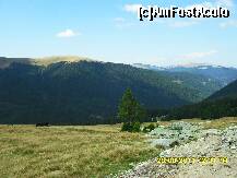 [P47] umbre si culoare » foto by adryana
 - 
<span class="allrVoted glyphicon glyphicon-heart hidden" id="av250899"></span>
<a class="m-l-10 hidden" id="sv250899" onclick="voting_Foto_DelVot(,250899,7149)" role="button">șterge vot <span class="glyphicon glyphicon-remove"></span></a>
<a id="v9250899" class=" c-red"  onclick="voting_Foto_SetVot(250899)" role="button"><span class="glyphicon glyphicon-heart-empty"></span> <b>LIKE</b> = Votează poza</a> <img class="hidden"  id="f250899W9" src="/imagini/loader.gif" border="0" /><span class="AjErrMes hidden" id="e250899ErM"></span>