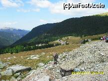 [P50]  -- <small>// FĂRĂ DESCRIERE</small> » foto by adryana
 - 
<span class="allrVoted glyphicon glyphicon-heart hidden" id="av250908"></span>
<a class="m-l-10 hidden" id="sv250908" onclick="voting_Foto_DelVot(,250908,7149)" role="button">șterge vot <span class="glyphicon glyphicon-remove"></span></a>
<a id="v9250908" class=" c-red"  onclick="voting_Foto_SetVot(250908)" role="button"><span class="glyphicon glyphicon-heart-empty"></span> <b>LIKE</b> = Votează poza</a> <img class="hidden"  id="f250908W9" src="/imagini/loader.gif" border="0" /><span class="AjErrMes hidden" id="e250908ErM"></span>