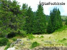 [P67] NO COMMENT » foto by adryana
 - 
<span class="allrVoted glyphicon glyphicon-heart hidden" id="av250929"></span>
<a class="m-l-10 hidden" id="sv250929" onclick="voting_Foto_DelVot(,250929,7149)" role="button">șterge vot <span class="glyphicon glyphicon-remove"></span></a>
<a id="v9250929" class=" c-red"  onclick="voting_Foto_SetVot(250929)" role="button"><span class="glyphicon glyphicon-heart-empty"></span> <b>LIKE</b> = Votează poza</a> <img class="hidden"  id="f250929W9" src="/imagini/loader.gif" border="0" /><span class="AjErrMes hidden" id="e250929ErM"></span>