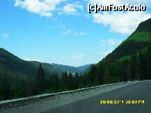 [P73]  -- <small>// FĂRĂ DESCRIERE</small> » foto by adryana
 - 
<span class="allrVoted glyphicon glyphicon-heart hidden" id="av250950"></span>
<a class="m-l-10 hidden" id="sv250950" onclick="voting_Foto_DelVot(,250950,7149)" role="button">șterge vot <span class="glyphicon glyphicon-remove"></span></a>
<a id="v9250950" class=" c-red"  onclick="voting_Foto_SetVot(250950)" role="button"><span class="glyphicon glyphicon-heart-empty"></span> <b>LIKE</b> = Votează poza</a> <img class="hidden"  id="f250950W9" src="/imagini/loader.gif" border="0" /><span class="AjErrMes hidden" id="e250950ErM"></span>