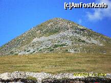 [P08]  -- <small>// FĂRĂ DESCRIERE</small> » foto by adryana
 - 
<span class="allrVoted glyphicon glyphicon-heart hidden" id="av250848"></span>
<a class="m-l-10 hidden" id="sv250848" onclick="voting_Foto_DelVot(,250848,7149)" role="button">șterge vot <span class="glyphicon glyphicon-remove"></span></a>
<a id="v9250848" class=" c-red"  onclick="voting_Foto_SetVot(250848)" role="button"><span class="glyphicon glyphicon-heart-empty"></span> <b>LIKE</b> = Votează poza</a> <img class="hidden"  id="f250848W9" src="/imagini/loader.gif" border="0" /><span class="AjErrMes hidden" id="e250848ErM"></span>