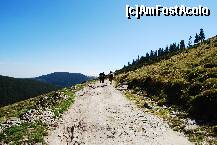 [P19] Pe drumul de intoarcere spre cabana. » foto by gregorio
 - 
<span class="allrVoted glyphicon glyphicon-heart hidden" id="av245902"></span>
<a class="m-l-10 hidden" id="sv245902" onclick="voting_Foto_DelVot(,245902,7149)" role="button">șterge vot <span class="glyphicon glyphicon-remove"></span></a>
<a id="v9245902" class=" c-red"  onclick="voting_Foto_SetVot(245902)" role="button"><span class="glyphicon glyphicon-heart-empty"></span> <b>LIKE</b> = Votează poza</a> <img class="hidden"  id="f245902W9" src="/imagini/loader.gif" border="0" /><span class="AjErrMes hidden" id="e245902ErM"></span>