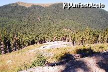 [P25] Spre Obarsia Lotrului. » foto by gregorio
 - 
<span class="allrVoted glyphicon glyphicon-heart hidden" id="av245914"></span>
<a class="m-l-10 hidden" id="sv245914" onclick="voting_Foto_DelVot(,245914,7149)" role="button">șterge vot <span class="glyphicon glyphicon-remove"></span></a>
<a id="v9245914" class=" c-red"  onclick="voting_Foto_SetVot(245914)" role="button"><span class="glyphicon glyphicon-heart-empty"></span> <b>LIKE</b> = Votează poza</a> <img class="hidden"  id="f245914W9" src="/imagini/loader.gif" border="0" /><span class="AjErrMes hidden" id="e245914ErM"></span>