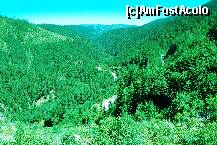 [P28] Drumul forestier spre Voineasa. » foto by gregorio
 - 
<span class="allrVoted glyphicon glyphicon-heart hidden" id="av245925"></span>
<a class="m-l-10 hidden" id="sv245925" onclick="voting_Foto_DelVot(,245925,7149)" role="button">șterge vot <span class="glyphicon glyphicon-remove"></span></a>
<a id="v9245925" class=" c-red"  onclick="voting_Foto_SetVot(245925)" role="button"><span class="glyphicon glyphicon-heart-empty"></span> <b>LIKE</b> = Votează poza</a> <img class="hidden"  id="f245925W9" src="/imagini/loader.gif" border="0" /><span class="AjErrMes hidden" id="e245925ErM"></span>