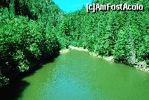 [P30] Lacul barajului de la Manaileasa. » foto by gregorio
 - 
<span class="allrVoted glyphicon glyphicon-heart hidden" id="av245929"></span>
<a class="m-l-10 hidden" id="sv245929" onclick="voting_Foto_DelVot(,245929,7149)" role="button">șterge vot <span class="glyphicon glyphicon-remove"></span></a>
<a id="v9245929" class=" c-red"  onclick="voting_Foto_SetVot(245929)" role="button"><span class="glyphicon glyphicon-heart-empty"></span> <b>LIKE</b> = Votează poza</a> <img class="hidden"  id="f245929W9" src="/imagini/loader.gif" border="0" /><span class="AjErrMes hidden" id="e245929ErM"></span>