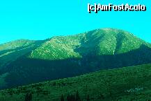 [P07] Masivul Mohor in lumina diminetii. » foto by gregorio
 - 
<span class="allrVoted glyphicon glyphicon-heart hidden" id="av245885"></span>
<a class="m-l-10 hidden" id="sv245885" onclick="voting_Foto_DelVot(,245885,7149)" role="button">șterge vot <span class="glyphicon glyphicon-remove"></span></a>
<a id="v9245885" class=" c-red"  onclick="voting_Foto_SetVot(245885)" role="button"><span class="glyphicon glyphicon-heart-empty"></span> <b>LIKE</b> = Votează poza</a> <img class="hidden"  id="f245885W9" src="/imagini/loader.gif" border="0" /><span class="AjErrMes hidden" id="e245885ErM"></span>