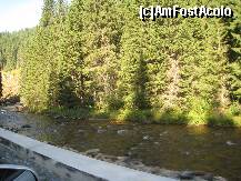 [P03] Cine e mai rapid - omul si masina lui sau Sebesul si valurile lui? » foto by giglia
 - 
<span class="allrVoted glyphicon glyphicon-heart hidden" id="av253558"></span>
<a class="m-l-10 hidden" id="sv253558" onclick="voting_Foto_DelVot(,253558,7149)" role="button">șterge vot <span class="glyphicon glyphicon-remove"></span></a>
<a id="v9253558" class=" c-red"  onclick="voting_Foto_SetVot(253558)" role="button"><span class="glyphicon glyphicon-heart-empty"></span> <b>LIKE</b> = Votează poza</a> <img class="hidden"  id="f253558W9" src="/imagini/loader.gif" border="0" /><span class="AjErrMes hidden" id="e253558ErM"></span>