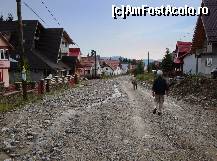 [P15] Rânca pe un drum lateral » foto by mariana.olaru
 - 
<span class="allrVoted glyphicon glyphicon-heart hidden" id="av228882"></span>
<a class="m-l-10 hidden" id="sv228882" onclick="voting_Foto_DelVot(,228882,7149)" role="button">șterge vot <span class="glyphicon glyphicon-remove"></span></a>
<a id="v9228882" class=" c-red"  onclick="voting_Foto_SetVot(228882)" role="button"><span class="glyphicon glyphicon-heart-empty"></span> <b>LIKE</b> = Votează poza</a> <img class="hidden"  id="f228882W9" src="/imagini/loader.gif" border="0" /><span class="AjErrMes hidden" id="e228882ErM"></span>