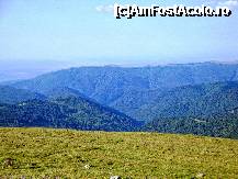 [P34] Din peisajele Transalpinei » foto by mariana.olaru
 - 
<span class="allrVoted glyphicon glyphicon-heart hidden" id="av228923"></span>
<a class="m-l-10 hidden" id="sv228923" onclick="voting_Foto_DelVot(,228923,7149)" role="button">șterge vot <span class="glyphicon glyphicon-remove"></span></a>
<a id="v9228923" class=" c-red"  onclick="voting_Foto_SetVot(228923)" role="button"><span class="glyphicon glyphicon-heart-empty"></span> <b>LIKE</b> = Votează poza</a> <img class="hidden"  id="f228923W9" src="/imagini/loader.gif" border="0" /><span class="AjErrMes hidden" id="e228923ErM"></span>