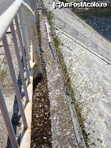 [P59] Răzor de margarete sălbatice de-a lungul barajului Oașa » foto by mariana.olaru
 - 
<span class="allrVoted glyphicon glyphicon-heart hidden" id="av228948"></span>
<a class="m-l-10 hidden" id="sv228948" onclick="voting_Foto_DelVot(,228948,7149)" role="button">șterge vot <span class="glyphicon glyphicon-remove"></span></a>
<a id="v9228948" class=" c-red"  onclick="voting_Foto_SetVot(228948)" role="button"><span class="glyphicon glyphicon-heart-empty"></span> <b>LIKE</b> = Votează poza</a> <img class="hidden"  id="f228948W9" src="/imagini/loader.gif" border="0" /><span class="AjErrMes hidden" id="e228948ErM"></span>