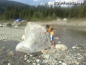 [P04]  -- <small>// FĂRĂ DESCRIERE</small> » foto by mocanudonald*
 - 
<span class="allrVoted glyphicon glyphicon-heart hidden" id="av340833"></span>
<a class="m-l-10 hidden" id="sv340833" onclick="voting_Foto_DelVot(,340833,7149)" role="button">șterge vot <span class="glyphicon glyphicon-remove"></span></a>
<a id="v9340833" class=" c-red"  onclick="voting_Foto_SetVot(340833)" role="button"><span class="glyphicon glyphicon-heart-empty"></span> <b>LIKE</b> = Votează poza</a> <img class="hidden"  id="f340833W9" src="/imagini/loader.gif" border="0" /><span class="AjErrMes hidden" id="e340833ErM"></span>