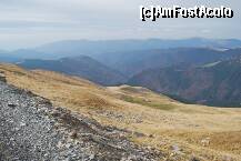 [P18] Transalpina - natura in toata splendoarea ei » foto by deliutza27
 - 
<span class="allrVoted glyphicon glyphicon-heart hidden" id="av157065"></span>
<a class="m-l-10 hidden" id="sv157065" onclick="voting_Foto_DelVot(,157065,7149)" role="button">șterge vot <span class="glyphicon glyphicon-remove"></span></a>
<a id="v9157065" class=" c-red"  onclick="voting_Foto_SetVot(157065)" role="button"><span class="glyphicon glyphicon-heart-empty"></span> <b>LIKE</b> = Votează poza</a> <img class="hidden"  id="f157065W9" src="/imagini/loader.gif" border="0" /><span class="AjErrMes hidden" id="e157065ErM"></span>