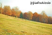 [P05] Transalpina - intre toate culorile de toamna, vesnicul verde al brazilor iese in evidenta » foto by deliutza27
 - 
<span class="allrVoted glyphicon glyphicon-heart hidden" id="av157039"></span>
<a class="m-l-10 hidden" id="sv157039" onclick="voting_Foto_DelVot(,157039,7149)" role="button">șterge vot <span class="glyphicon glyphicon-remove"></span></a>
<a id="v9157039" class=" c-red"  onclick="voting_Foto_SetVot(157039)" role="button"><span class="glyphicon glyphicon-heart-empty"></span> <b>LIKE</b> = Votează poza</a> <img class="hidden"  id="f157039W9" src="/imagini/loader.gif" border="0" /><span class="AjErrMes hidden" id="e157039ErM"></span>