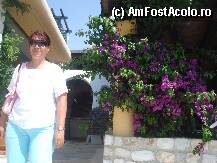 [P08] [O plimbare prin Athena Palace Village ] flori, la Athena Palace Village, iunie 2010 » foto by adryana
 - 
<span class="allrVoted glyphicon glyphicon-heart hidden" id="av101282"></span>
<a class="m-l-10 hidden" id="sv101282" onclick="voting_Foto_DelVot(,101282,7150)" role="button">șterge vot <span class="glyphicon glyphicon-remove"></span></a>
<a id="v9101282" class=" c-red"  onclick="voting_Foto_SetVot(101282)" role="button"><span class="glyphicon glyphicon-heart-empty"></span> <b>LIKE</b> = Votează poza</a> <img class="hidden"  id="f101282W9" src="/imagini/loader.gif" border="0" /><span class="AjErrMes hidden" id="e101282ErM"></span>