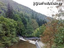 [P05] Natura pura, sanatate maxima! » foto by incognito_icd
 - 
<span class="allrVoted glyphicon glyphicon-heart hidden" id="av124389"></span>
<a class="m-l-10 hidden" id="sv124389" onclick="voting_Foto_DelVot(,124389,7165)" role="button">șterge vot <span class="glyphicon glyphicon-remove"></span></a>
<a id="v9124389" class=" c-red"  onclick="voting_Foto_SetVot(124389)" role="button"><span class="glyphicon glyphicon-heart-empty"></span> <b>LIKE</b> = Votează poza</a> <img class="hidden"  id="f124389W9" src="/imagini/loader.gif" border="0" /><span class="AjErrMes hidden" id="e124389ErM"></span>
