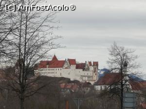 [P36] Füssen - castelul » foto by crismis
 - 
<span class="allrVoted glyphicon glyphicon-heart hidden" id="av1431637"></span>
<a class="m-l-10 hidden" id="sv1431637" onclick="voting_Foto_DelVot(,1431637,7186)" role="button">șterge vot <span class="glyphicon glyphicon-remove"></span></a>
<a id="v91431637" class=" c-red"  onclick="voting_Foto_SetVot(1431637)" role="button"><span class="glyphicon glyphicon-heart-empty"></span> <b>LIKE</b> = Votează poza</a> <img class="hidden"  id="f1431637W9" src="/imagini/loader.gif" border="0" /><span class="AjErrMes hidden" id="e1431637ErM"></span>
