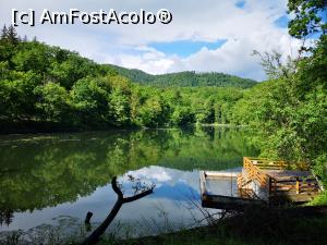 [P20] La plimbare pe lângă lac » foto by crismis
 - 
<span class="allrVoted glyphicon glyphicon-heart hidden" id="av1168184"></span>
<a class="m-l-10 hidden" id="sv1168184" onclick="voting_Foto_DelVot(,1168184,7201)" role="button">șterge vot <span class="glyphicon glyphicon-remove"></span></a>
<a id="v91168184" class=" c-red"  onclick="voting_Foto_SetVot(1168184)" role="button"><span class="glyphicon glyphicon-heart-empty"></span> <b>LIKE</b> = Votează poza</a> <img class="hidden"  id="f1168184W9" src="/imagini/loader.gif" border="0" /><span class="AjErrMes hidden" id="e1168184ErM"></span>