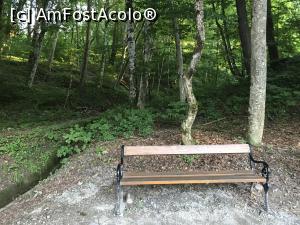 [P02] Pe margina lacului, o băncuță aștepta îndrăgostiții. Sovata » foto by krisstinna
 - 
<span class="allrVoted glyphicon glyphicon-heart hidden" id="av919887"></span>
<a class="m-l-10 hidden" id="sv919887" onclick="voting_Foto_DelVot(,919887,7201)" role="button">șterge vot <span class="glyphicon glyphicon-remove"></span></a>
<a id="v9919887" class=" c-red"  onclick="voting_Foto_SetVot(919887)" role="button"><span class="glyphicon glyphicon-heart-empty"></span> <b>LIKE</b> = Votează poza</a> <img class="hidden"  id="f919887W9" src="/imagini/loader.gif" border="0" /><span class="AjErrMes hidden" id="e919887ErM"></span>