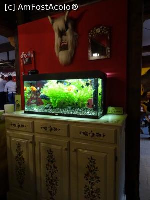 [P14] Decoruri - Restaurant Club Dracula, Sovata.  » foto by tata123 🔱
 - 
<span class="allrVoted glyphicon glyphicon-heart hidden" id="av1025781"></span>
<a class="m-l-10 hidden" id="sv1025781" onclick="voting_Foto_DelVot(,1025781,7201)" role="button">șterge vot <span class="glyphicon glyphicon-remove"></span></a>
<a id="v91025781" class=" c-red"  onclick="voting_Foto_SetVot(1025781)" role="button"><span class="glyphicon glyphicon-heart-empty"></span> <b>LIKE</b> = Votează poza</a> <img class="hidden"  id="f1025781W9" src="/imagini/loader.gif" border="0" /><span class="AjErrMes hidden" id="e1025781ErM"></span>