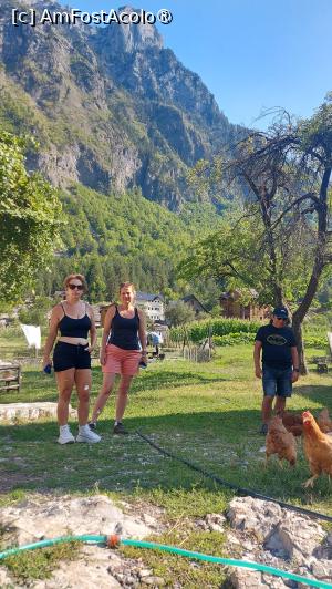 [P11] la pensiunea Guesthouse Gezim Selimaj, Valbona » foto by raducondurache
 - 
<span class="allrVoted glyphicon glyphicon-heart hidden" id="av1496015"></span>
<a class="m-l-10 hidden" id="sv1496015" onclick="voting_Foto_DelVot(,1496015,7202)" role="button">șterge vot <span class="glyphicon glyphicon-remove"></span></a>
<a id="v91496015" class=" c-red"  onclick="voting_Foto_SetVot(1496015)" role="button"><span class="glyphicon glyphicon-heart-empty"></span> <b>LIKE</b> = Votează poza</a> <img class="hidden"  id="f1496015W9" src="/imagini/loader.gif" border="0" /><span class="AjErrMes hidden" id="e1496015ErM"></span>