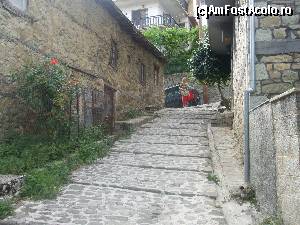 [P07] Strada in Metsovo » foto by turcu traian
 - 
<span class="allrVoted glyphicon glyphicon-heart hidden" id="av653825"></span>
<a class="m-l-10 hidden" id="sv653825" onclick="voting_Foto_DelVot(,653825,7202)" role="button">șterge vot <span class="glyphicon glyphicon-remove"></span></a>
<a id="v9653825" class=" c-red"  onclick="voting_Foto_SetVot(653825)" role="button"><span class="glyphicon glyphicon-heart-empty"></span> <b>LIKE</b> = Votează poza</a> <img class="hidden"  id="f653825W9" src="/imagini/loader.gif" border="0" /><span class="AjErrMes hidden" id="e653825ErM"></span>
