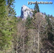 [P17] In ciuda zapezii, soarele stralucea, iar cerul era senin. » foto by corinka
 - 
<span class="allrVoted glyphicon glyphicon-heart hidden" id="av54188"></span>
<a class="m-l-10 hidden" id="sv54188" onclick="voting_Foto_DelVot(,54188,7213)" role="button">șterge vot <span class="glyphicon glyphicon-remove"></span></a>
<a id="v954188" class=" c-red"  onclick="voting_Foto_SetVot(54188)" role="button"><span class="glyphicon glyphicon-heart-empty"></span> <b>LIKE</b> = Votează poza</a> <img class="hidden"  id="f54188W9" src="/imagini/loader.gif" border="0" /><span class="AjErrMes hidden" id="e54188ErM"></span>