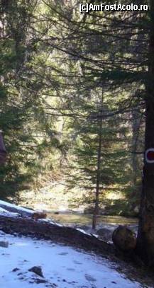 [P05] Zapada inca nu se dadea batuta... » foto by corinka
 - 
<span class="allrVoted glyphicon glyphicon-heart hidden" id="av54169"></span>
<a class="m-l-10 hidden" id="sv54169" onclick="voting_Foto_DelVot(,54169,7213)" role="button">șterge vot <span class="glyphicon glyphicon-remove"></span></a>
<a id="v954169" class=" c-red"  onclick="voting_Foto_SetVot(54169)" role="button"><span class="glyphicon glyphicon-heart-empty"></span> <b>LIKE</b> = Votează poza</a> <img class="hidden"  id="f54169W9" src="/imagini/loader.gif" border="0" /><span class="AjErrMes hidden" id="e54169ErM"></span>