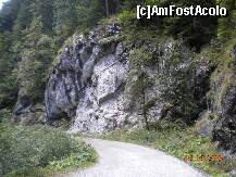 [P10] Pe drum inspre Valul Miresii » foto by Alina Morar
 - 
<span class="allrVoted glyphicon glyphicon-heart hidden" id="av128517"></span>
<a class="m-l-10 hidden" id="sv128517" onclick="voting_Foto_DelVot(,128517,7213)" role="button">șterge vot <span class="glyphicon glyphicon-remove"></span></a>
<a id="v9128517" class=" c-red"  onclick="voting_Foto_SetVot(128517)" role="button"><span class="glyphicon glyphicon-heart-empty"></span> <b>LIKE</b> = Votează poza</a> <img class="hidden"  id="f128517W9" src="/imagini/loader.gif" border="0" /><span class="AjErrMes hidden" id="e128517ErM"></span>