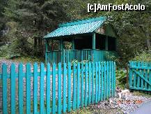 [P14] curtea cascadei » foto by Alina Morar
 - 
<span class="allrVoted glyphicon glyphicon-heart hidden" id="av128521"></span>
<a class="m-l-10 hidden" id="sv128521" onclick="voting_Foto_DelVot(,128521,7213)" role="button">șterge vot <span class="glyphicon glyphicon-remove"></span></a>
<a id="v9128521" class=" c-red"  onclick="voting_Foto_SetVot(128521)" role="button"><span class="glyphicon glyphicon-heart-empty"></span> <b>LIKE</b> = Votează poza</a> <img class="hidden"  id="f128521W9" src="/imagini/loader.gif" border="0" /><span class="AjErrMes hidden" id="e128521ErM"></span>