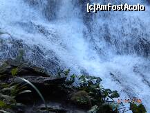 [P21] Imi plac la nebunie cascadele » foto by Alina Morar
 - 
<span class="allrVoted glyphicon glyphicon-heart hidden" id="av128528"></span>
<a class="m-l-10 hidden" id="sv128528" onclick="voting_Foto_DelVot(,128528,7213)" role="button">șterge vot <span class="glyphicon glyphicon-remove"></span></a>
<a id="v9128528" class=" c-red"  onclick="voting_Foto_SetVot(128528)" role="button"><span class="glyphicon glyphicon-heart-empty"></span> <b>LIKE</b> = Votează poza</a> <img class="hidden"  id="f128528W9" src="/imagini/loader.gif" border="0" /><span class="AjErrMes hidden" id="e128528ErM"></span>