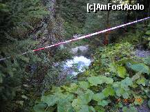 [P26] Cascada trece exact pe marginea drumului. Nu exista nici o protectie. De aici a cazut acel baiat. » foto by Alina Morar
 - 
<span class="allrVoted glyphicon glyphicon-heart hidden" id="av128543"></span>
<a class="m-l-10 hidden" id="sv128543" onclick="voting_Foto_DelVot(,128543,7213)" role="button">șterge vot <span class="glyphicon glyphicon-remove"></span></a>
<a id="v9128543" class=" c-red"  onclick="voting_Foto_SetVot(128543)" role="button"><span class="glyphicon glyphicon-heart-empty"></span> <b>LIKE</b> = Votează poza</a> <img class="hidden"  id="f128543W9" src="/imagini/loader.gif" border="0" /><span class="AjErrMes hidden" id="e128543ErM"></span>