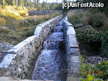 [P33]  -- <small>// FĂRĂ DESCRIERE</small> » foto by Alina Morar
 - 
<span class="allrVoted glyphicon glyphicon-heart hidden" id="av128550"></span>
<a class="m-l-10 hidden" id="sv128550" onclick="voting_Foto_DelVot(,128550,7213)" role="button">șterge vot <span class="glyphicon glyphicon-remove"></span></a>
<a id="v9128550" class=" c-red"  onclick="voting_Foto_SetVot(128550)" role="button"><span class="glyphicon glyphicon-heart-empty"></span> <b>LIKE</b> = Votează poza</a> <img class="hidden"  id="f128550W9" src="/imagini/loader.gif" border="0" /><span class="AjErrMes hidden" id="e128550ErM"></span>