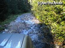 [P34]  -- <small>// FĂRĂ DESCRIERE</small> » foto by Alina Morar
 - 
<span class="allrVoted glyphicon glyphicon-heart hidden" id="av128551"></span>
<a class="m-l-10 hidden" id="sv128551" onclick="voting_Foto_DelVot(,128551,7213)" role="button">șterge vot <span class="glyphicon glyphicon-remove"></span></a>
<a id="v9128551" class=" c-red"  onclick="voting_Foto_SetVot(128551)" role="button"><span class="glyphicon glyphicon-heart-empty"></span> <b>LIKE</b> = Votează poza</a> <img class="hidden"  id="f128551W9" src="/imagini/loader.gif" border="0" /><span class="AjErrMes hidden" id="e128551ErM"></span>