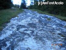 [P40] Aceasta poteca parca e facuta de mana omului, dar e naturala » foto by Alina Morar
 - 
<span class="allrVoted glyphicon glyphicon-heart hidden" id="av128557"></span>
<a class="m-l-10 hidden" id="sv128557" onclick="voting_Foto_DelVot(,128557,7213)" role="button">șterge vot <span class="glyphicon glyphicon-remove"></span></a>
<a id="v9128557" class=" c-red"  onclick="voting_Foto_SetVot(128557)" role="button"><span class="glyphicon glyphicon-heart-empty"></span> <b>LIKE</b> = Votează poza</a> <img class="hidden"  id="f128557W9" src="/imagini/loader.gif" border="0" /><span class="AjErrMes hidden" id="e128557ErM"></span>