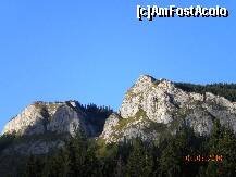 [P43] Pietrele Albe din Muntii Apuseni » foto by Alina Morar
 - 
<span class="allrVoted glyphicon glyphicon-heart hidden" id="av128560"></span>
<a class="m-l-10 hidden" id="sv128560" onclick="voting_Foto_DelVot(,128560,7213)" role="button">șterge vot <span class="glyphicon glyphicon-remove"></span></a>
<a id="v9128560" class=" c-red"  onclick="voting_Foto_SetVot(128560)" role="button"><span class="glyphicon glyphicon-heart-empty"></span> <b>LIKE</b> = Votează poza</a> <img class="hidden"  id="f128560W9" src="/imagini/loader.gif" border="0" /><span class="AjErrMes hidden" id="e128560ErM"></span>