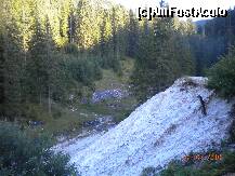 [P45]  -- <small>// FĂRĂ DESCRIERE</small> » foto by Alina Morar
 - 
<span class="allrVoted glyphicon glyphicon-heart hidden" id="av128562"></span>
<a class="m-l-10 hidden" id="sv128562" onclick="voting_Foto_DelVot(,128562,7213)" role="button">șterge vot <span class="glyphicon glyphicon-remove"></span></a>
<a id="v9128562" class=" c-red"  onclick="voting_Foto_SetVot(128562)" role="button"><span class="glyphicon glyphicon-heart-empty"></span> <b>LIKE</b> = Votează poza</a> <img class="hidden"  id="f128562W9" src="/imagini/loader.gif" border="0" /><span class="AjErrMes hidden" id="e128562ErM"></span>