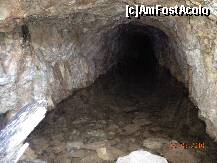 [P49]  -- <small>// FĂRĂ DESCRIERE</small> » foto by Alina Morar
 - 
<span class="allrVoted glyphicon glyphicon-heart hidden" id="av128566"></span>
<a class="m-l-10 hidden" id="sv128566" onclick="voting_Foto_DelVot(,128566,7213)" role="button">șterge vot <span class="glyphicon glyphicon-remove"></span></a>
<a id="v9128566" class=" c-red"  onclick="voting_Foto_SetVot(128566)" role="button"><span class="glyphicon glyphicon-heart-empty"></span> <b>LIKE</b> = Votează poza</a> <img class="hidden"  id="f128566W9" src="/imagini/loader.gif" border="0" /><span class="AjErrMes hidden" id="e128566ErM"></span>