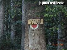 [P51] Atentie mare! » foto by Alina Morar
 - 
<span class="allrVoted glyphicon glyphicon-heart hidden" id="av128568"></span>
<a class="m-l-10 hidden" id="sv128568" onclick="voting_Foto_DelVot(,128568,7213)" role="button">șterge vot <span class="glyphicon glyphicon-remove"></span></a>
<a id="v9128568" class=" c-red"  onclick="voting_Foto_SetVot(128568)" role="button"><span class="glyphicon glyphicon-heart-empty"></span> <b>LIKE</b> = Votează poza</a> <img class="hidden"  id="f128568W9" src="/imagini/loader.gif" border="0" /><span class="AjErrMes hidden" id="e128568ErM"></span>