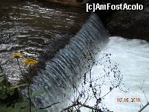 [P09]  -- <small>// FĂRĂ DESCRIERE</small> » foto by Alina Morar
 - 
<span class="allrVoted glyphicon glyphicon-heart hidden" id="av128516"></span>
<a class="m-l-10 hidden" id="sv128516" onclick="voting_Foto_DelVot(,128516,7213)" role="button">șterge vot <span class="glyphicon glyphicon-remove"></span></a>
<a id="v9128516" class=" c-red"  onclick="voting_Foto_SetVot(128516)" role="button"><span class="glyphicon glyphicon-heart-empty"></span> <b>LIKE</b> = Votează poza</a> <img class="hidden"  id="f128516W9" src="/imagini/loader.gif" border="0" /><span class="AjErrMes hidden" id="e128516ErM"></span>