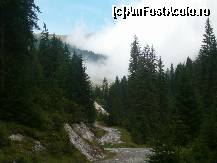 [P15] Aproape de pestera, in fata Muntele Vladeasa ... » foto by dartax
 - 
<span class="allrVoted glyphicon glyphicon-heart hidden" id="av133094"></span>
<a class="m-l-10 hidden" id="sv133094" onclick="voting_Foto_DelVot(,133094,7213)" role="button">șterge vot <span class="glyphicon glyphicon-remove"></span></a>
<a id="v9133094" class=" c-red"  onclick="voting_Foto_SetVot(133094)" role="button"><span class="glyphicon glyphicon-heart-empty"></span> <b>LIKE</b> = Votează poza</a> <img class="hidden"  id="f133094W9" src="/imagini/loader.gif" border="0" /><span class="AjErrMes hidden" id="e133094ErM"></span>