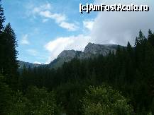 [P16] Pietrele Albe, unde s-ar putea sa dam peste ... 'Vipers', cum zice Salvamontul ... eu nu am vazut de-astea niciodata ! » foto by dartax
 - 
<span class="allrVoted glyphicon glyphicon-heart hidden" id="av133095"></span>
<a class="m-l-10 hidden" id="sv133095" onclick="voting_Foto_DelVot(,133095,7213)" role="button">șterge vot <span class="glyphicon glyphicon-remove"></span></a>
<a id="v9133095" class=" c-red"  onclick="voting_Foto_SetVot(133095)" role="button"><span class="glyphicon glyphicon-heart-empty"></span> <b>LIKE</b> = Votează poza</a> <img class="hidden"  id="f133095W9" src="/imagini/loader.gif" border="0" /><span class="AjErrMes hidden" id="e133095ErM"></span>