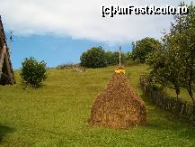 [P23] De prin curte, ai impresia ca cerul cade peste tine... » foto by dartax
 - 
<span class="allrVoted glyphicon glyphicon-heart hidden" id="av133102"></span>
<a class="m-l-10 hidden" id="sv133102" onclick="voting_Foto_DelVot(,133102,7213)" role="button">șterge vot <span class="glyphicon glyphicon-remove"></span></a>
<a id="v9133102" class=" c-red"  onclick="voting_Foto_SetVot(133102)" role="button"><span class="glyphicon glyphicon-heart-empty"></span> <b>LIKE</b> = Votează poza</a> <img class="hidden"  id="f133102W9" src="/imagini/loader.gif" border="0" /><span class="AjErrMes hidden" id="e133102ErM"></span>