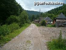 [P06] Drumul forestier, spre Cascada Valul Miresii. » foto by dartax
 - 
<span class="allrVoted glyphicon glyphicon-heart hidden" id="av133067"></span>
<a class="m-l-10 hidden" id="sv133067" onclick="voting_Foto_DelVot(,133067,7213)" role="button">șterge vot <span class="glyphicon glyphicon-remove"></span></a>
<a id="v9133067" class=" c-red"  onclick="voting_Foto_SetVot(133067)" role="button"><span class="glyphicon glyphicon-heart-empty"></span> <b>LIKE</b> = Votează poza</a> <img class="hidden"  id="f133067W9" src="/imagini/loader.gif" border="0" /><span class="AjErrMes hidden" id="e133067ErM"></span>