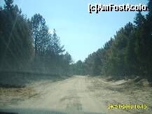 [P05] drumul prin padurea de pini ce duce spre ansamblul rezidential » foto by aaaaa
 - 
<span class="allrVoted glyphicon glyphicon-heart hidden" id="av126355"></span>
<a class="m-l-10 hidden" id="sv126355" onclick="voting_Foto_DelVot(,126355,7240)" role="button">șterge vot <span class="glyphicon glyphicon-remove"></span></a>
<a id="v9126355" class=" c-red"  onclick="voting_Foto_SetVot(126355)" role="button"><span class="glyphicon glyphicon-heart-empty"></span> <b>LIKE</b> = Votează poza</a> <img class="hidden"  id="f126355W9" src="/imagini/loader.gif" border="0" /><span class="AjErrMes hidden" id="e126355ErM"></span>