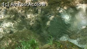 [P35] Lac cristalin în care se revarsă cascada. » foto by Aurici
 - 
<span class="allrVoted glyphicon glyphicon-heart hidden" id="av1205439"></span>
<a class="m-l-10 hidden" id="sv1205439" onclick="voting_Foto_DelVot(,1205439,7278)" role="button">șterge vot <span class="glyphicon glyphicon-remove"></span></a>
<a id="v91205439" class=" c-red"  onclick="voting_Foto_SetVot(1205439)" role="button"><span class="glyphicon glyphicon-heart-empty"></span> <b>LIKE</b> = Votează poza</a> <img class="hidden"  id="f1205439W9" src="/imagini/loader.gif" border="0" /><span class="AjErrMes hidden" id="e1205439ErM"></span>