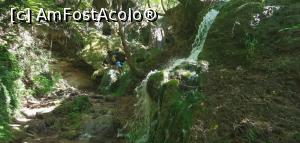 [P36] Cascada Bachkovo. » foto by Aurici
 - 
<span class="allrVoted glyphicon glyphicon-heart hidden" id="av1205440"></span>
<a class="m-l-10 hidden" id="sv1205440" onclick="voting_Foto_DelVot(,1205440,7278)" role="button">șterge vot <span class="glyphicon glyphicon-remove"></span></a>
<a id="v91205440" class=" c-red"  onclick="voting_Foto_SetVot(1205440)" role="button"><span class="glyphicon glyphicon-heart-empty"></span> <b>LIKE</b> = Votează poza</a> <img class="hidden"  id="f1205440W9" src="/imagini/loader.gif" border="0" /><span class="AjErrMes hidden" id="e1205440ErM"></span>