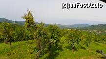 [P21]  -- <small>// FĂRĂ DESCRIERE</small> » foto by mickeythecatus
 - 
<span class="allrVoted glyphicon glyphicon-heart hidden" id="av129001"></span>
<a class="m-l-10 hidden" id="sv129001" onclick="voting_Foto_DelVot(,129001,7294)" role="button">șterge vot <span class="glyphicon glyphicon-remove"></span></a>
<a id="v9129001" class=" c-red"  onclick="voting_Foto_SetVot(129001)" role="button"><span class="glyphicon glyphicon-heart-empty"></span> <b>LIKE</b> = Votează poza</a> <img class="hidden"  id="f129001W9" src="/imagini/loader.gif" border="0" /><span class="AjErrMes hidden" id="e129001ErM"></span>