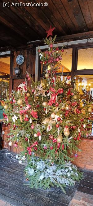 [P15] Bradul de Crăciun. » foto by tata123 🔱
 - 
<span class="allrVoted glyphicon glyphicon-heart hidden" id="av1515184"></span>
<a class="m-l-10 hidden" id="sv1515184" onclick="voting_Foto_DelVot(,1515184,7327)" role="button">șterge vot <span class="glyphicon glyphicon-remove"></span></a>
<a id="v91515184" class=" c-red"  onclick="voting_Foto_SetVot(1515184)" role="button"><span class="glyphicon glyphicon-heart-empty"></span> <b>LIKE</b> = Votează poza</a> <img class="hidden"  id="f1515184W9" src="/imagini/loader.gif" border="0" /><span class="AjErrMes hidden" id="e1515184ErM"></span>